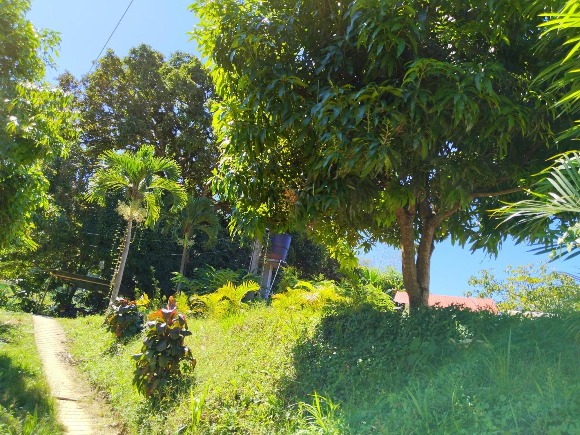 Casa Magica Villa Minca Eksteriør billede