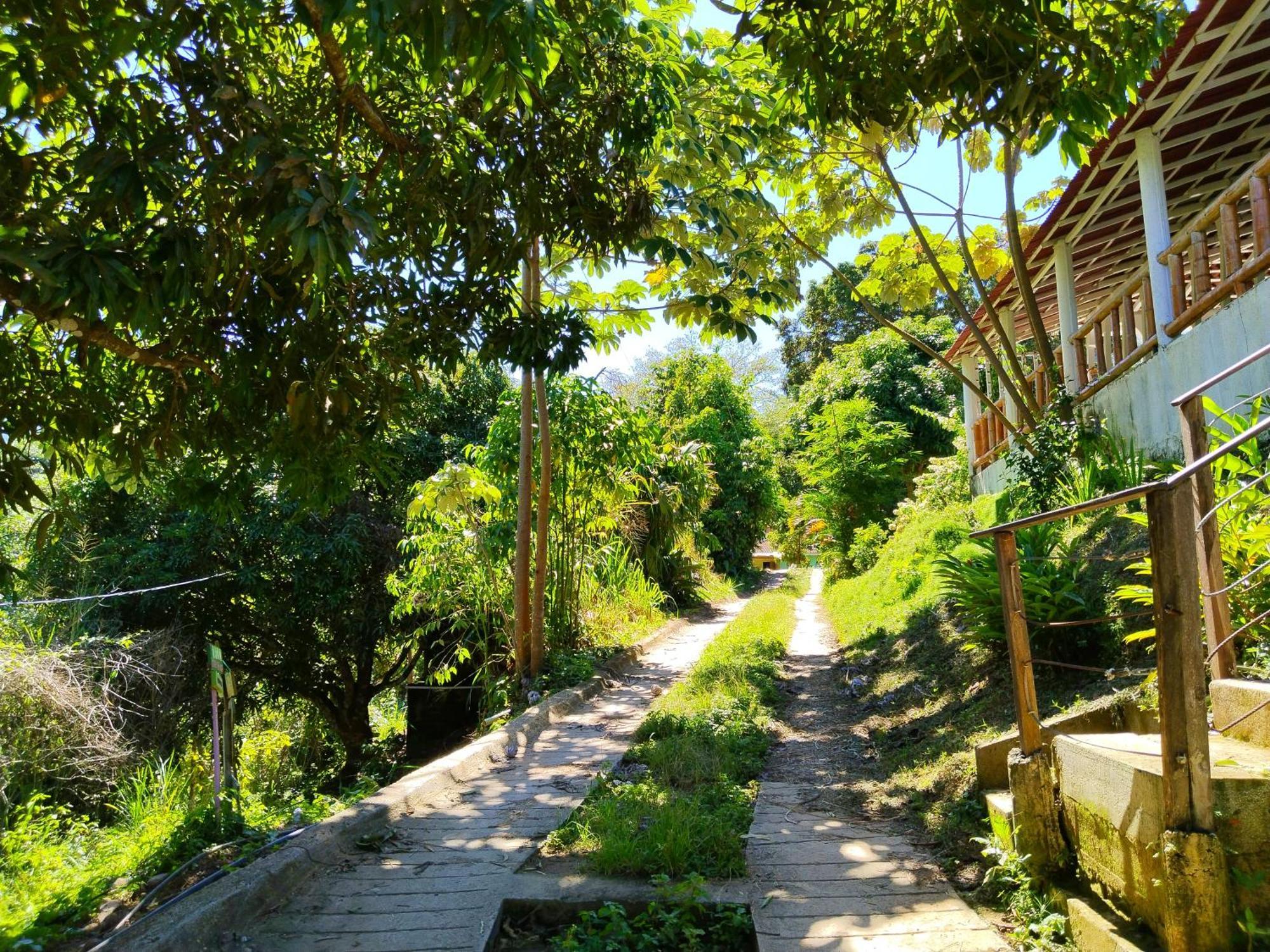 Casa Magica Villa Minca Eksteriør billede